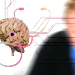 L'Alzheimer è una malattia subdola, che colpisce un gran numero di persone; un recente studio, tuttavia, sembra accendere delle speranze per il futuro.