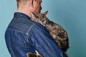 La sterilizzazione del gatto- Quali sono i pro ed i contro di questo intervento