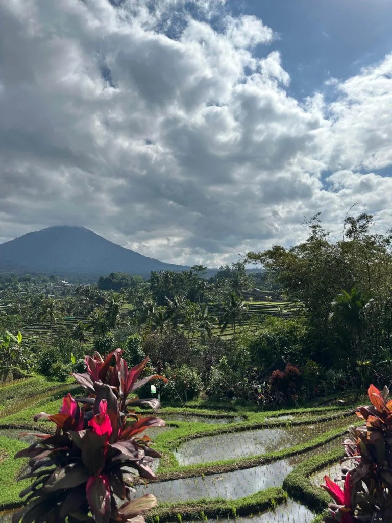 Reportage: Indonesia, il viaggio delle contraddizioni | dalla frenesia di Giacarta ai silenzi cristallini di Gili