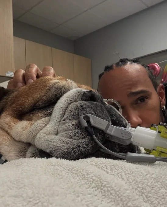 Lewis Hamilton, l’umanità di un campione vicino al suo amico a 4 zampe