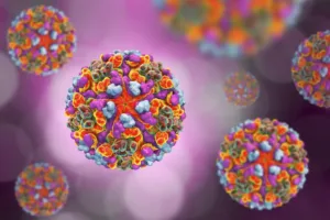 Virus Chikungunya