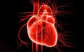 Il 26 ottobre si celebra la Giornata Mondiale dell’Amiloidosi Cardiaca, un appuntamento importante per informare, sensibilizzare e invitare alla prevenzione.