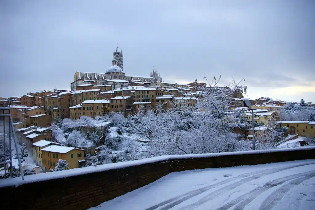 nee italia gennaio 2026