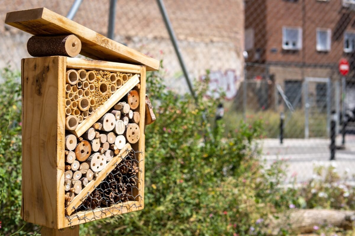 Il 20 maggio si celebra la Giornata Mondiale delle Api (World Bee Day), un’istituzione fortemente voluta dalle Nazioni Unite per ricordarci che il lusso più grande di cui disponiamo – la biodiversità – dipende da creature grandi quanto un chicco di caffè.